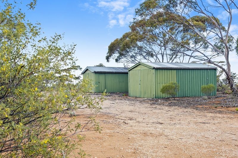 38 Petters Road, Morgan SA 5320, Image 0