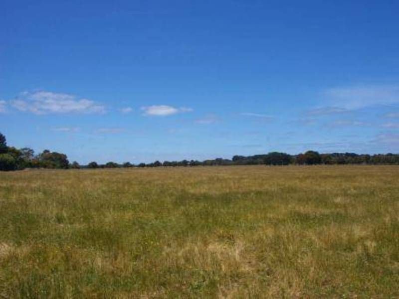 Lot 9 Sandy Point Road, SOMERS VIC 3927, Image 1