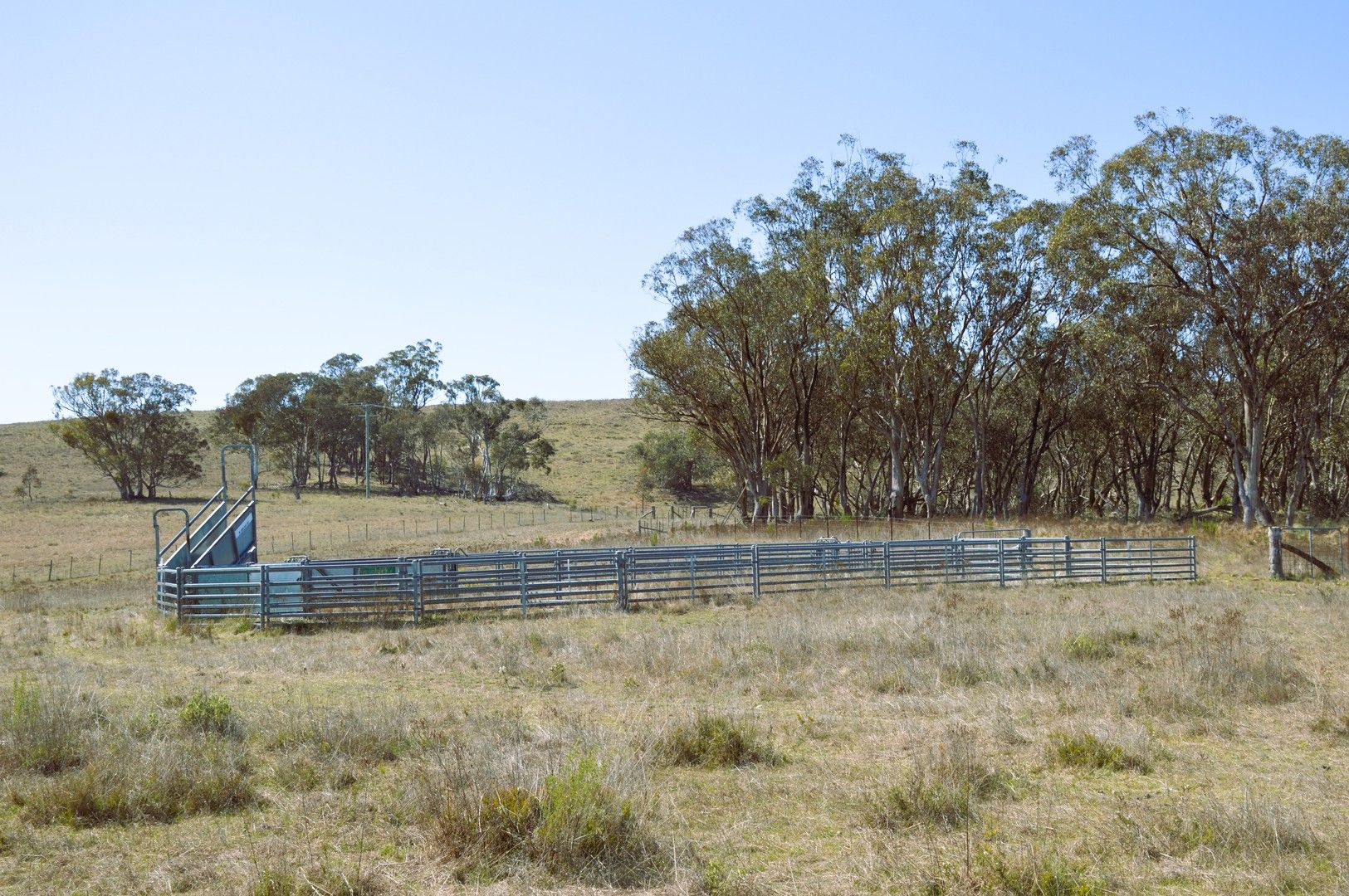 1453 Windeyer Road, Mudgee NSW 2850, Image 0