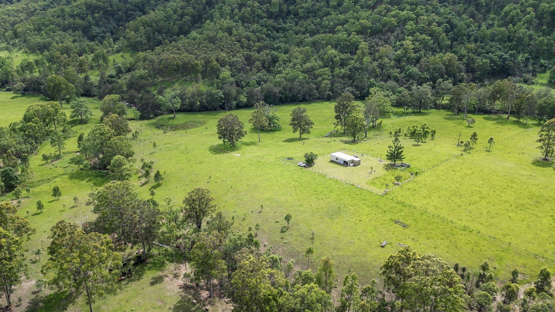 230 Endless Creek Road, Chambigne NSW 2460, Image 0