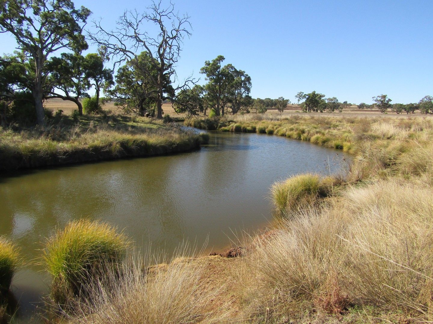 1697 Purlewaugh Road, Coonabarabran NSW 2357, Image 0