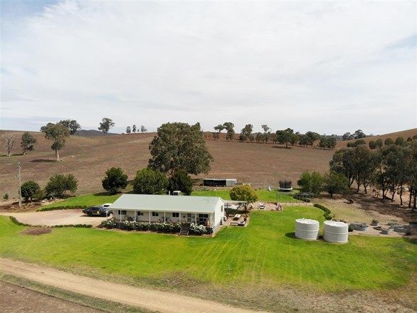 Picture of 1943 Adelong Road, TUMBLONG NSW 2729