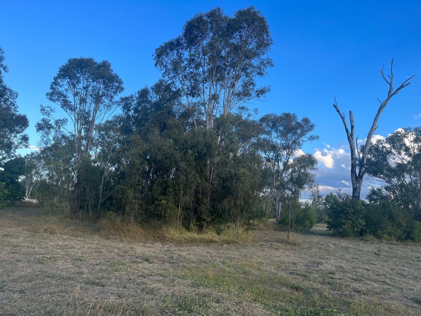 Lot 3 North Street, Laidley QLD 4341, Image 1