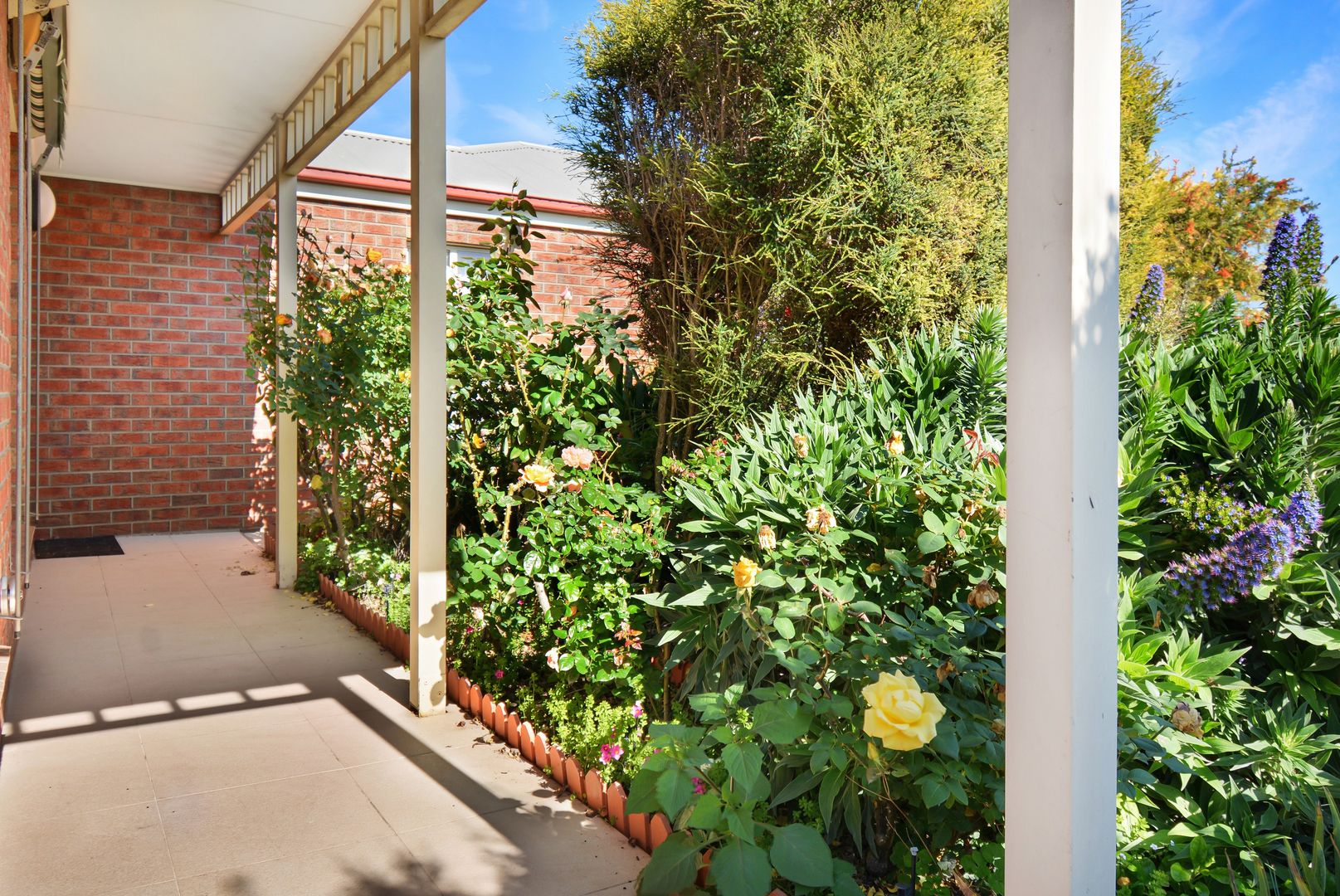 53 Rossack Drive, Grovedale VIC 3216, Image 1