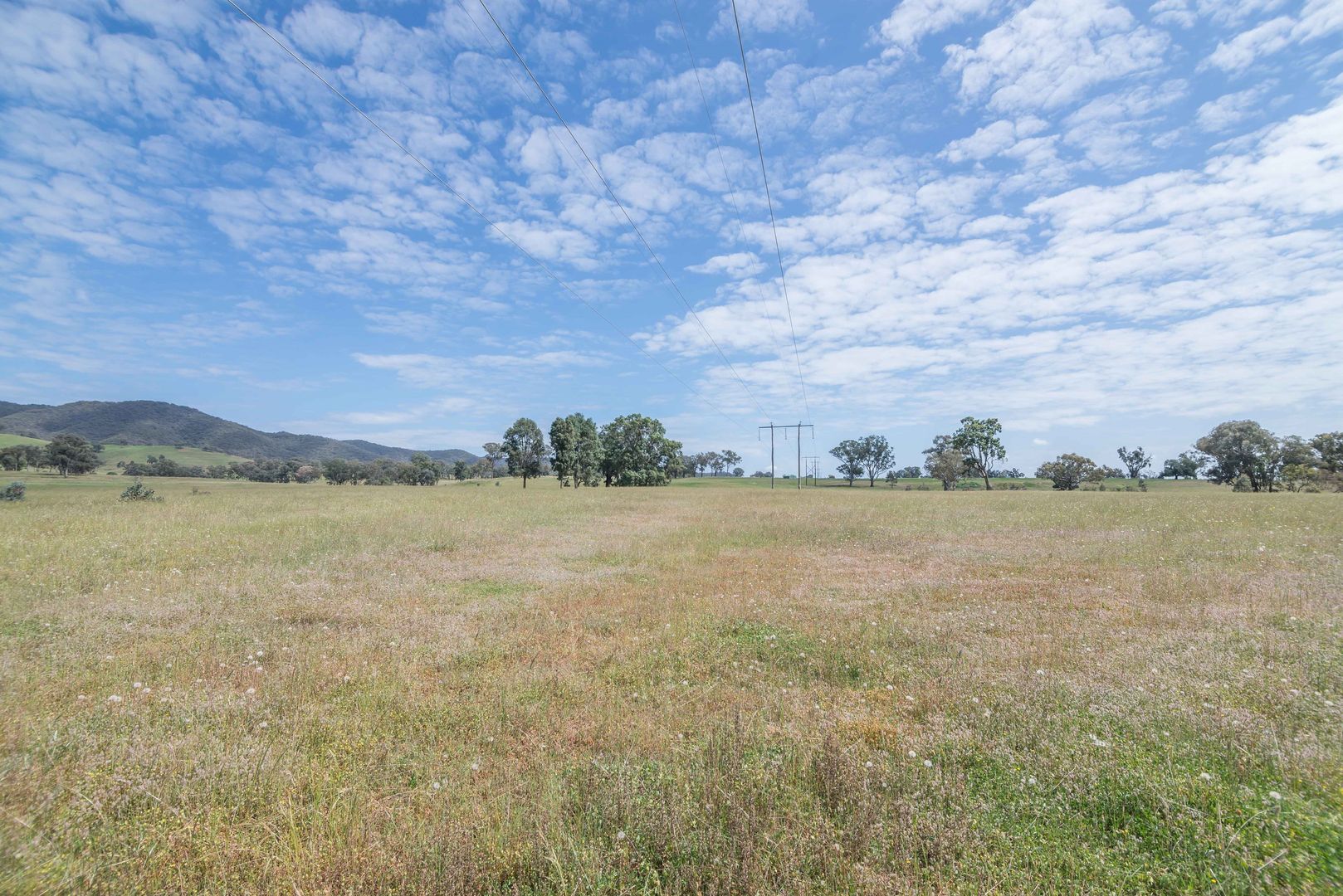 106 Spring Flat South Lane, Mudgee NSW 2850, Image 1