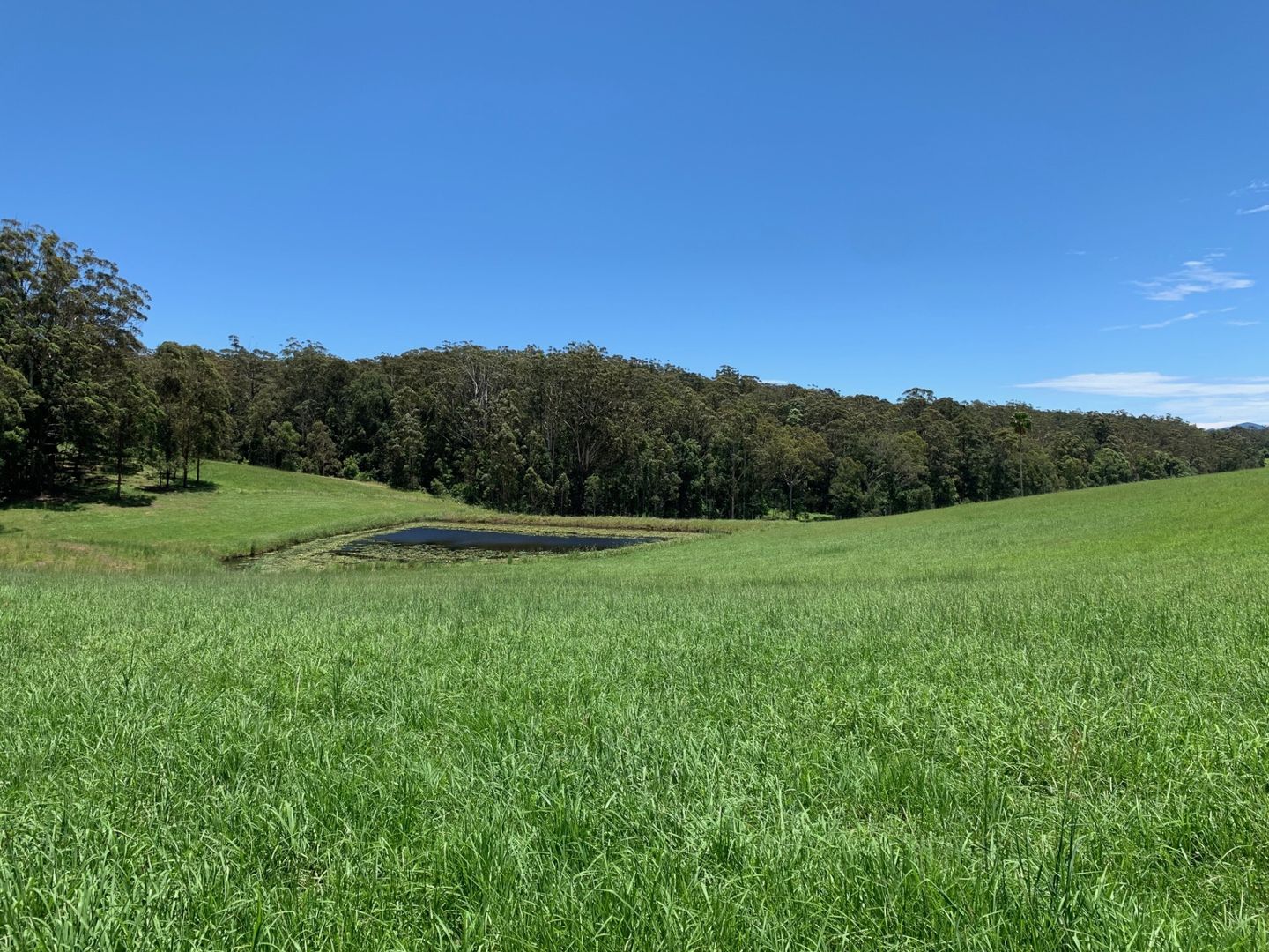 Lot 7 Wallaby Park, Congarinni NSW 2447, Image 1