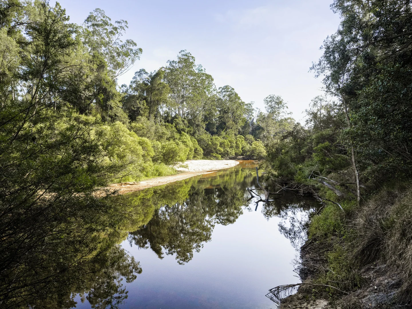 Additional image 20 of 370 Orara Road, Lanitza NSW 2460