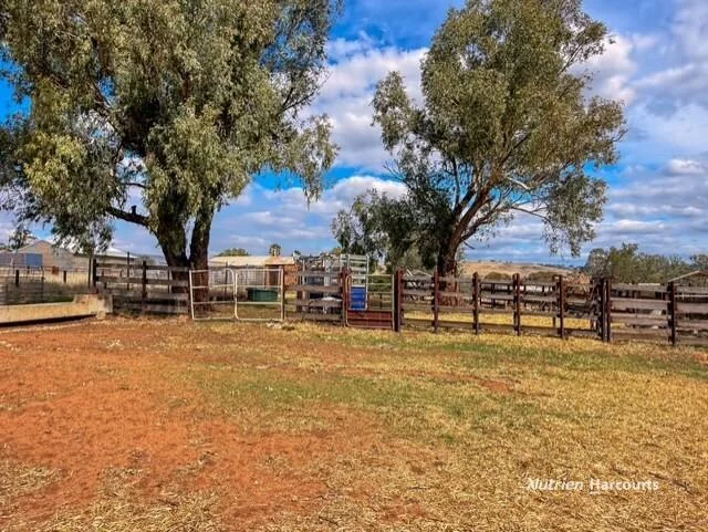 Additional image 23 of "Nundah" Katrine Road, Northam WA 6401