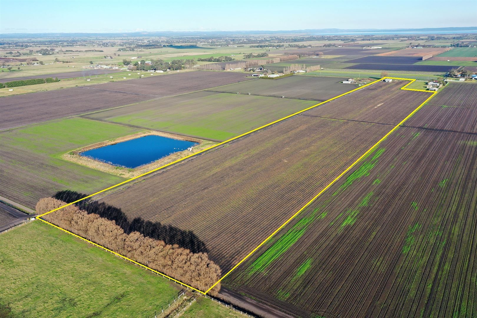 Koo Wee Rup VIC 3981 Farm for Sale Domain