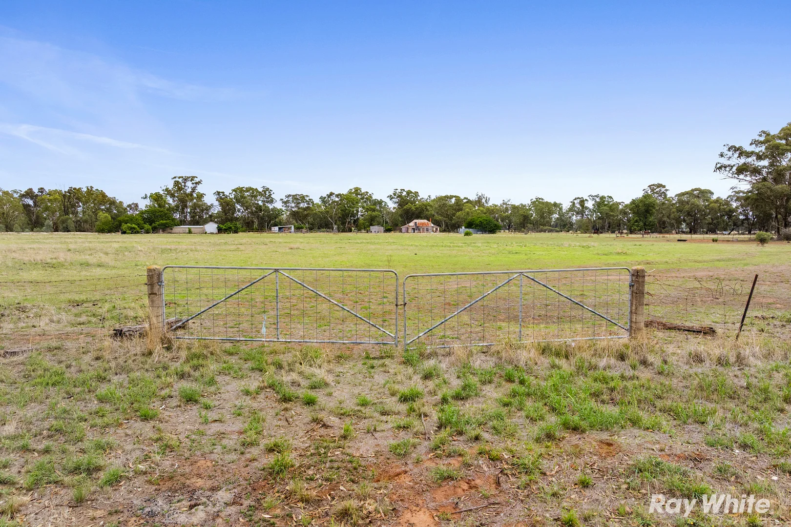 Additional image 4 of Lot 103 Hill Street, Ganmain NSW 2702