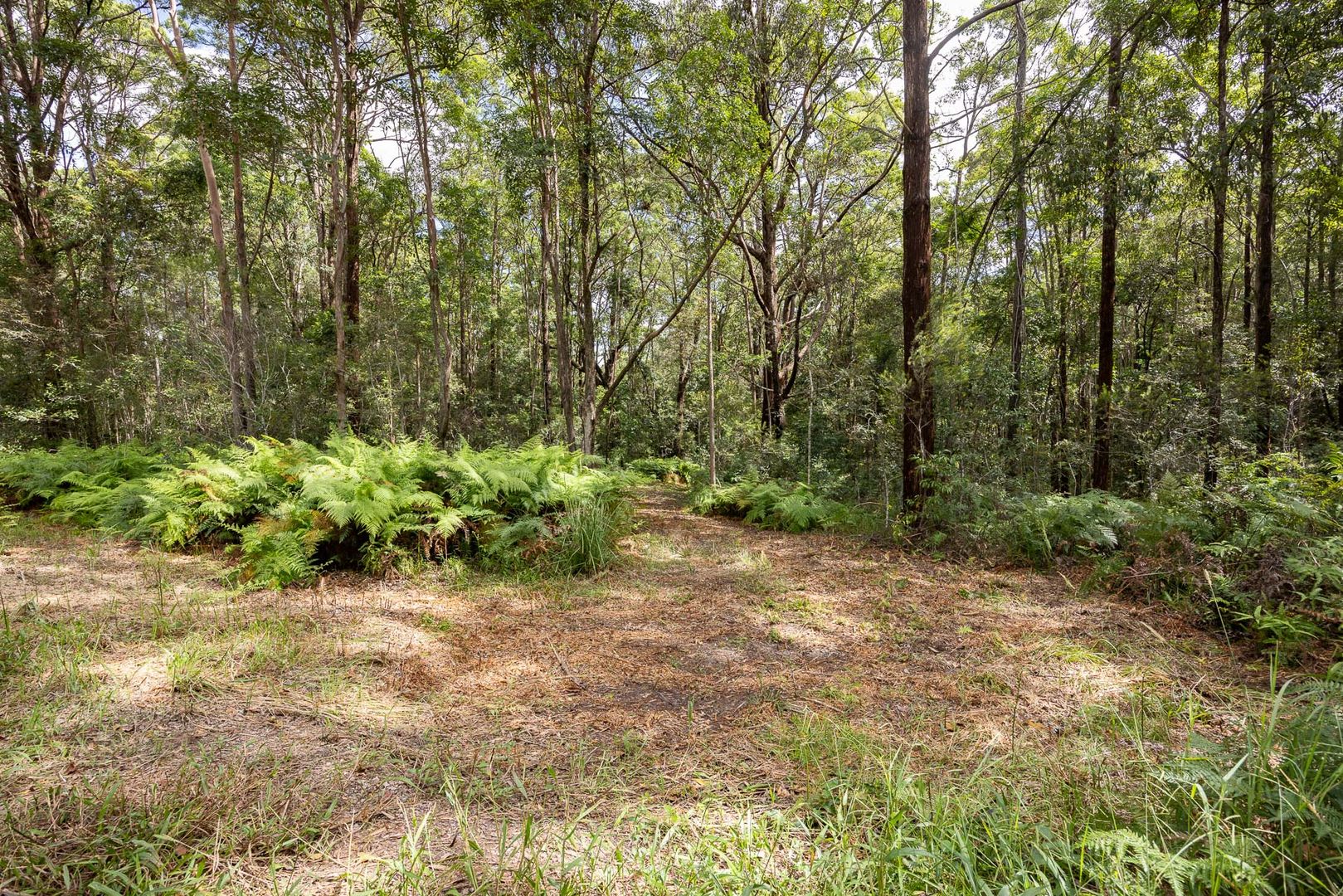 234 to 258 Pryor Road, Verrierdale QLD 4562, Image 2