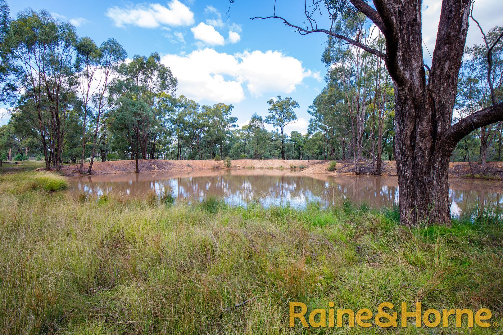 11 Wandarra Road, Brocklehurst NSW 2830, Image 1