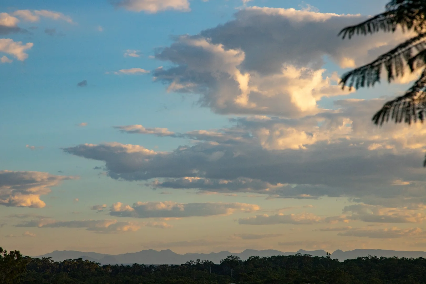 Additional image 30 of 11 Barty Close, Brassall QLD 4305