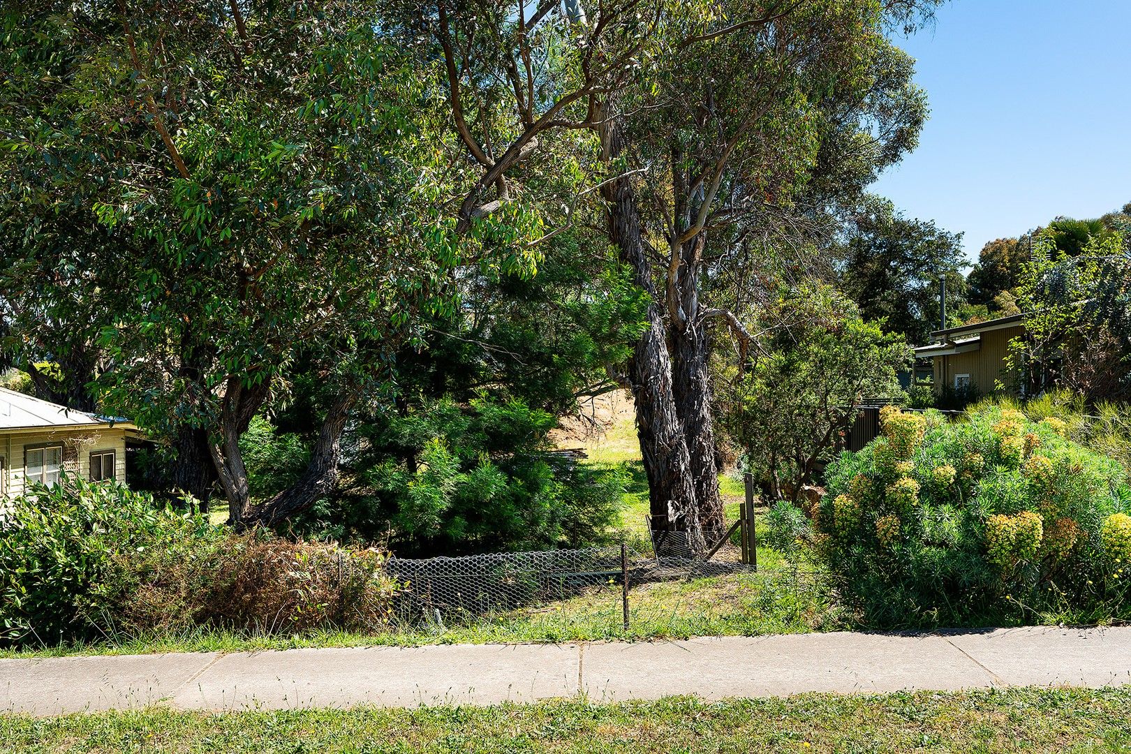 87 Duke Street, Castlemaine VIC 3450 Domain