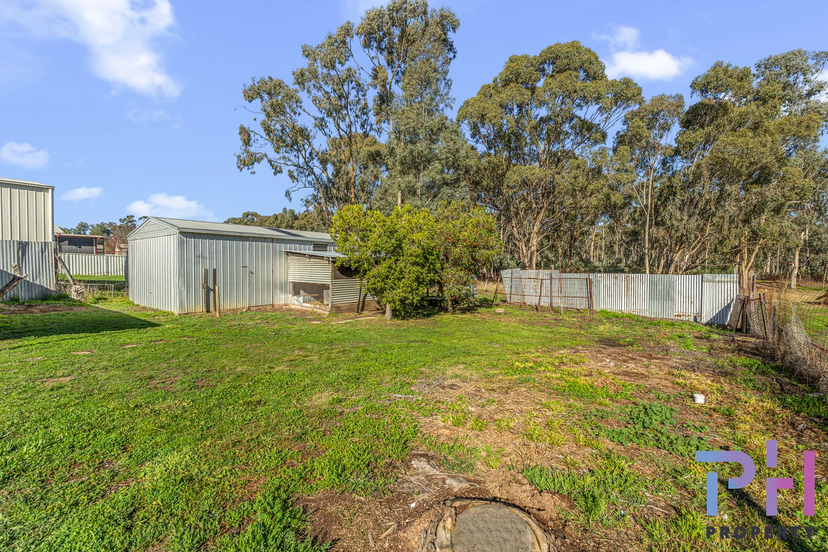 Image 12