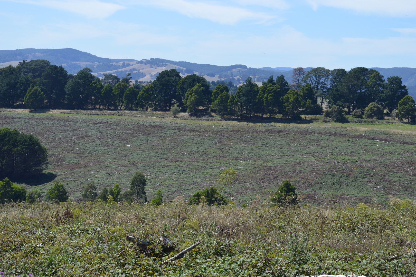 Foster Road, Boolarra South VIC 3870, Image 0