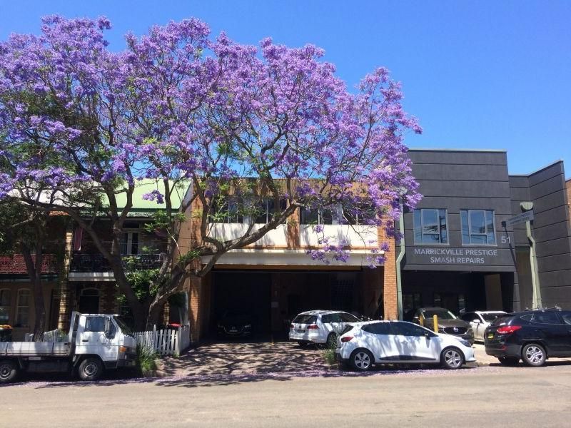 1 bedrooms Apartment / Unit / Flat in 49 Shepherd St MARRICKVILLE NSW, 2204