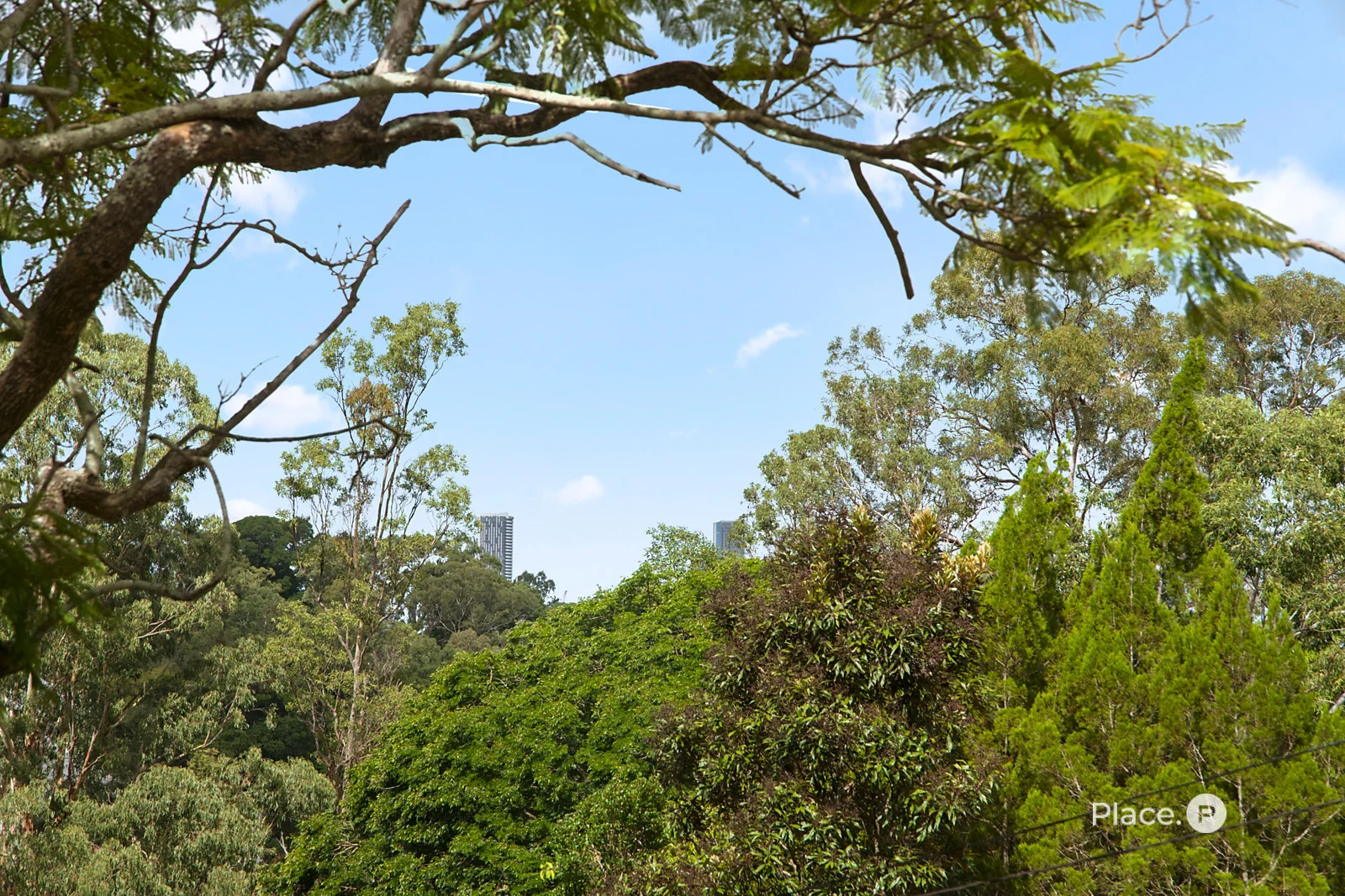 Additional image 21 of 49 Carroll Street, Bardon QLD 4065