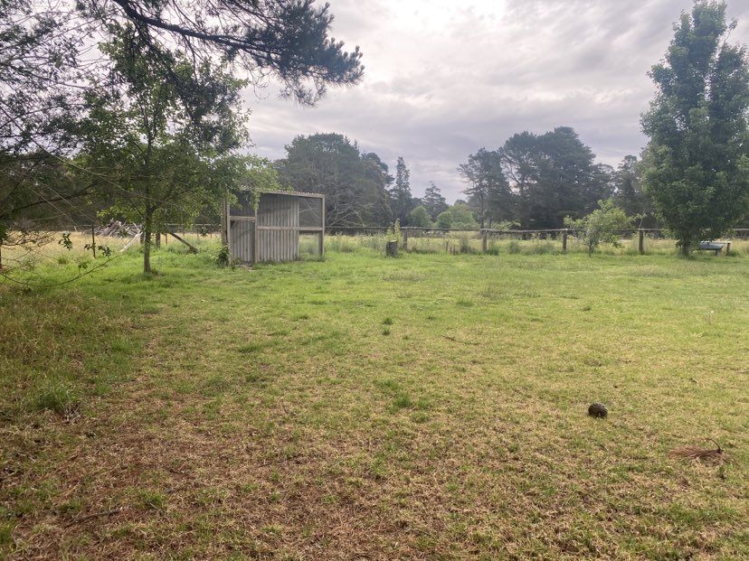 Penrose NSW 2579 House for Rent Domain