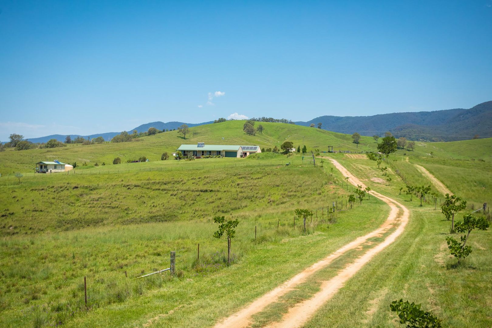 3537 Snowy Mtns Hwy, Bemboka NSW 2550, Image 1