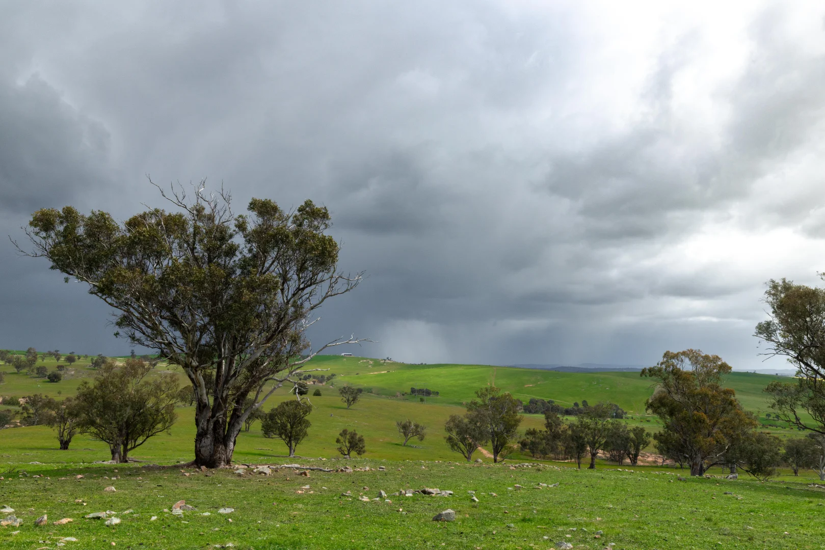 Image 14