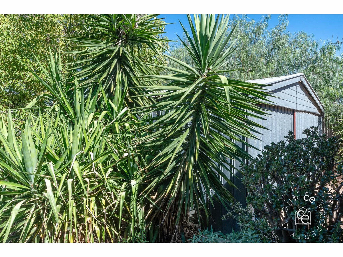 Additional image 25 of 80 Adelaide Road, Mannum SA 5238