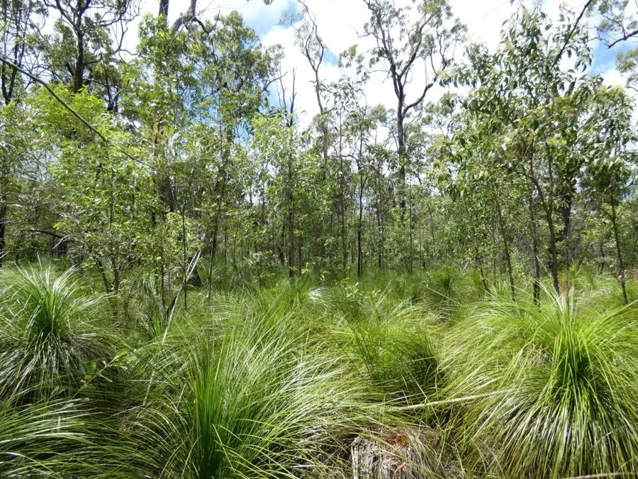 Additional image 19 of 960 Pacific Drive, Deepwater QLD 4674