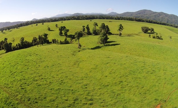 Lot 6 Palmerston Highway, East Palmerston QLD 4860