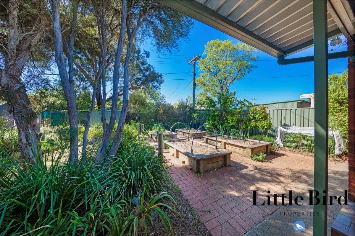 Additional image 14 of 25 Knox Street, Watson ACT 2602