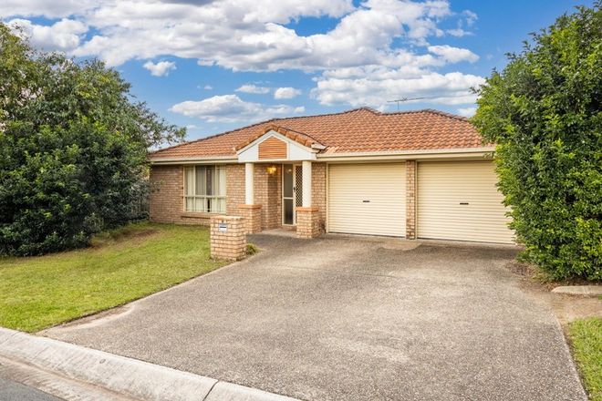 Picture of 6 Dicaprio Close, KEPERRA QLD 4054