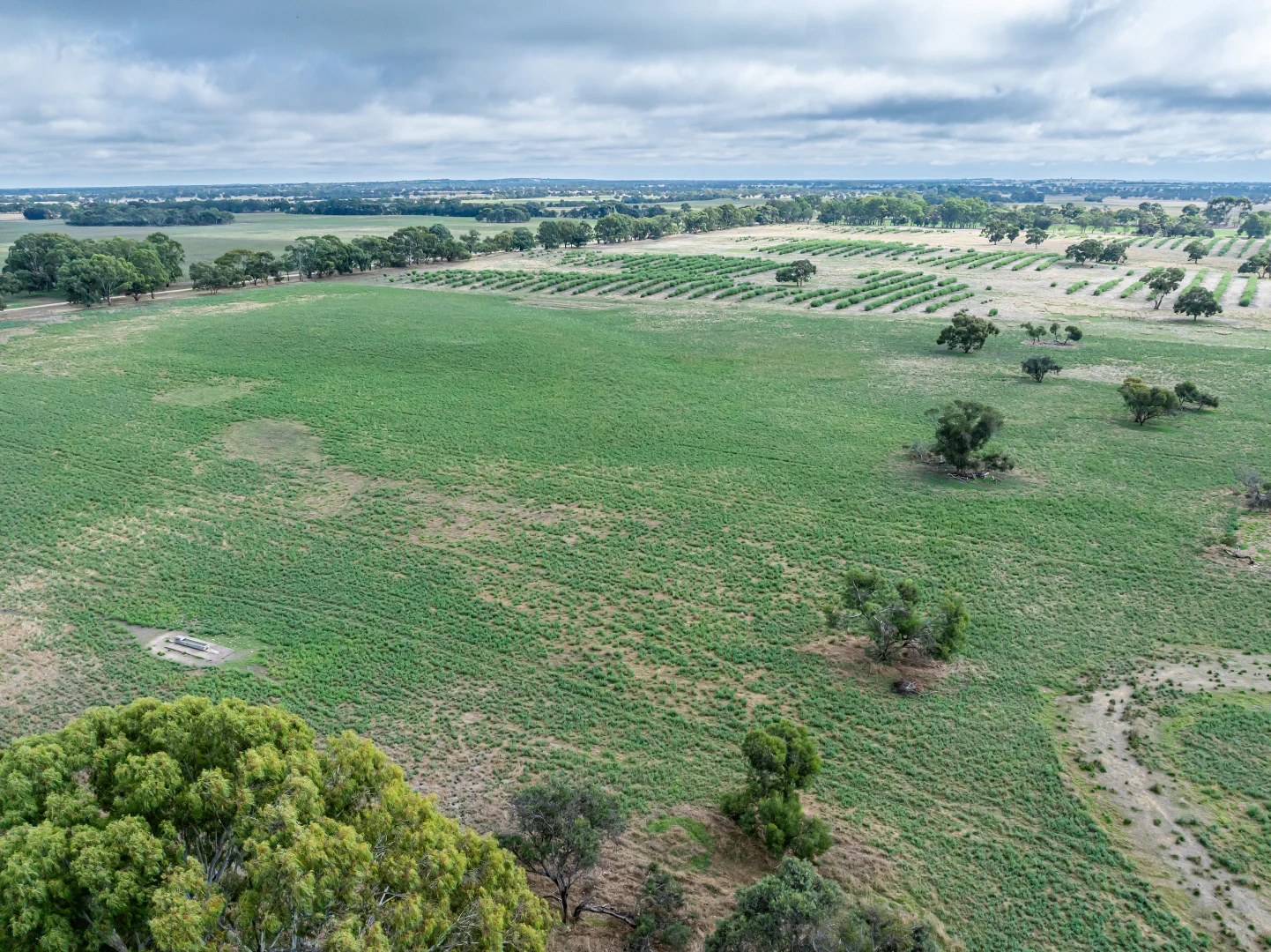 Additional image 10 of 3258 Riddoch Highway, Willalooka SA 5267