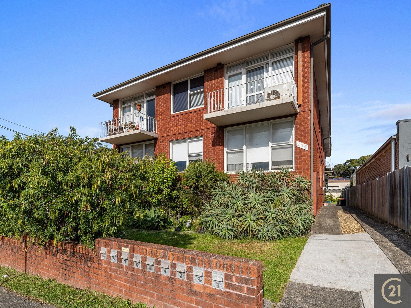 8/220 William Street, Kingsgrove NSW 2208 Apartment For Rent Domain