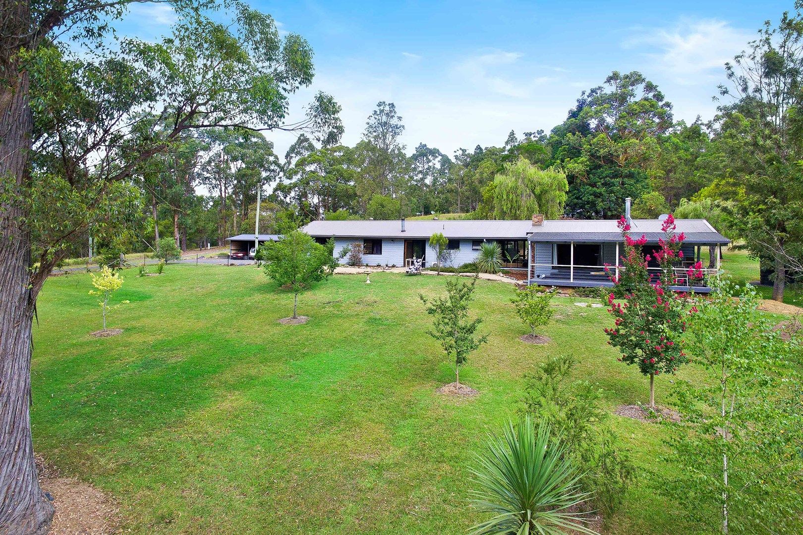 81 Dignams Creek Road, Dignams Creek NSW 2546, Image 0