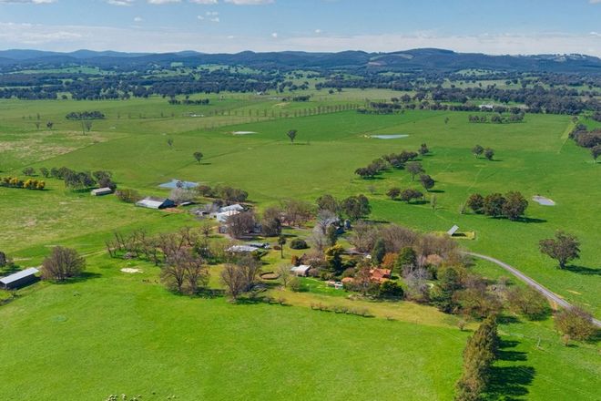 Picture of 1969 Jingellic Road, WANTAGONG NSW 2644