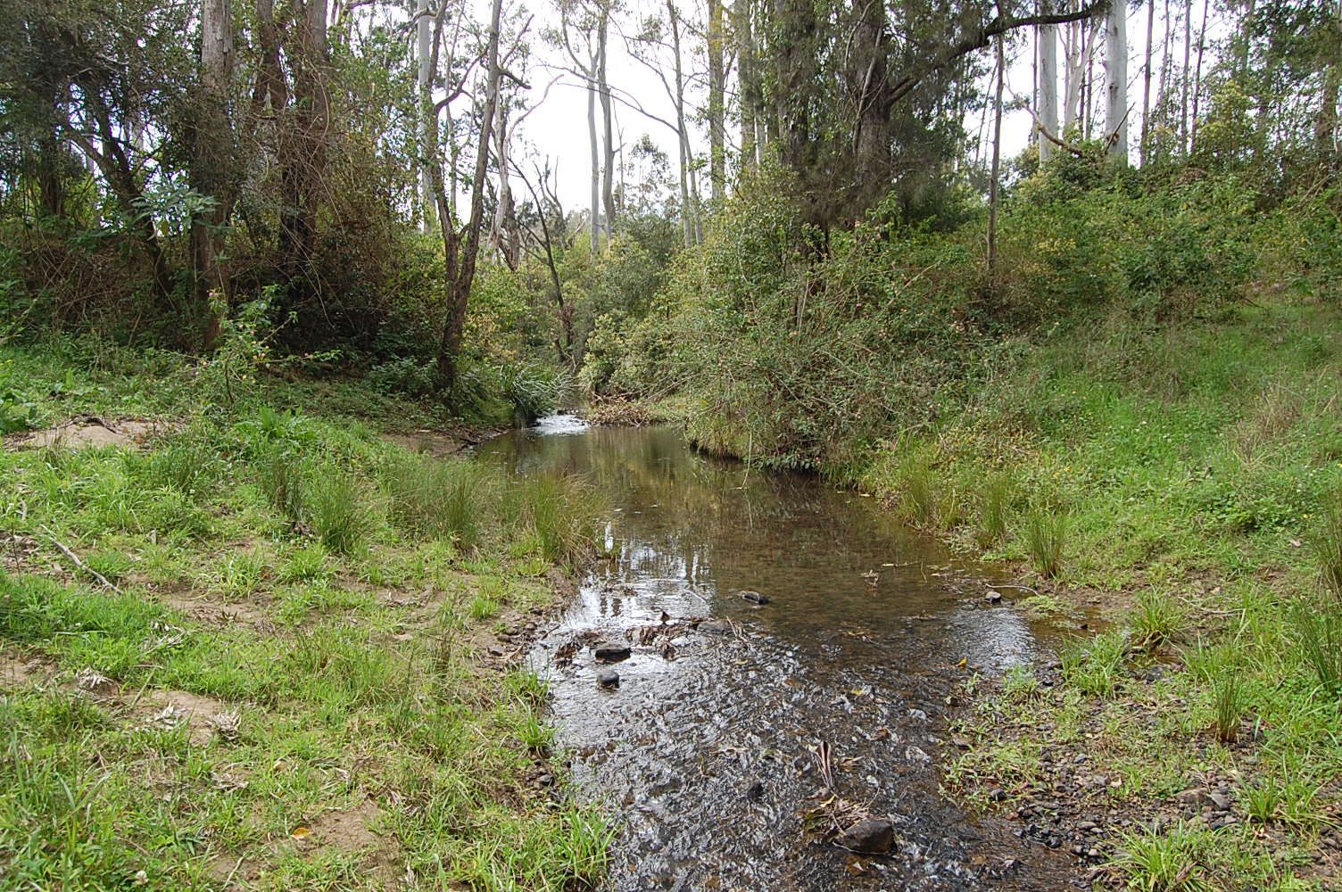 16401 Clarence Way, Bean Creek NSW 2469, Image 1