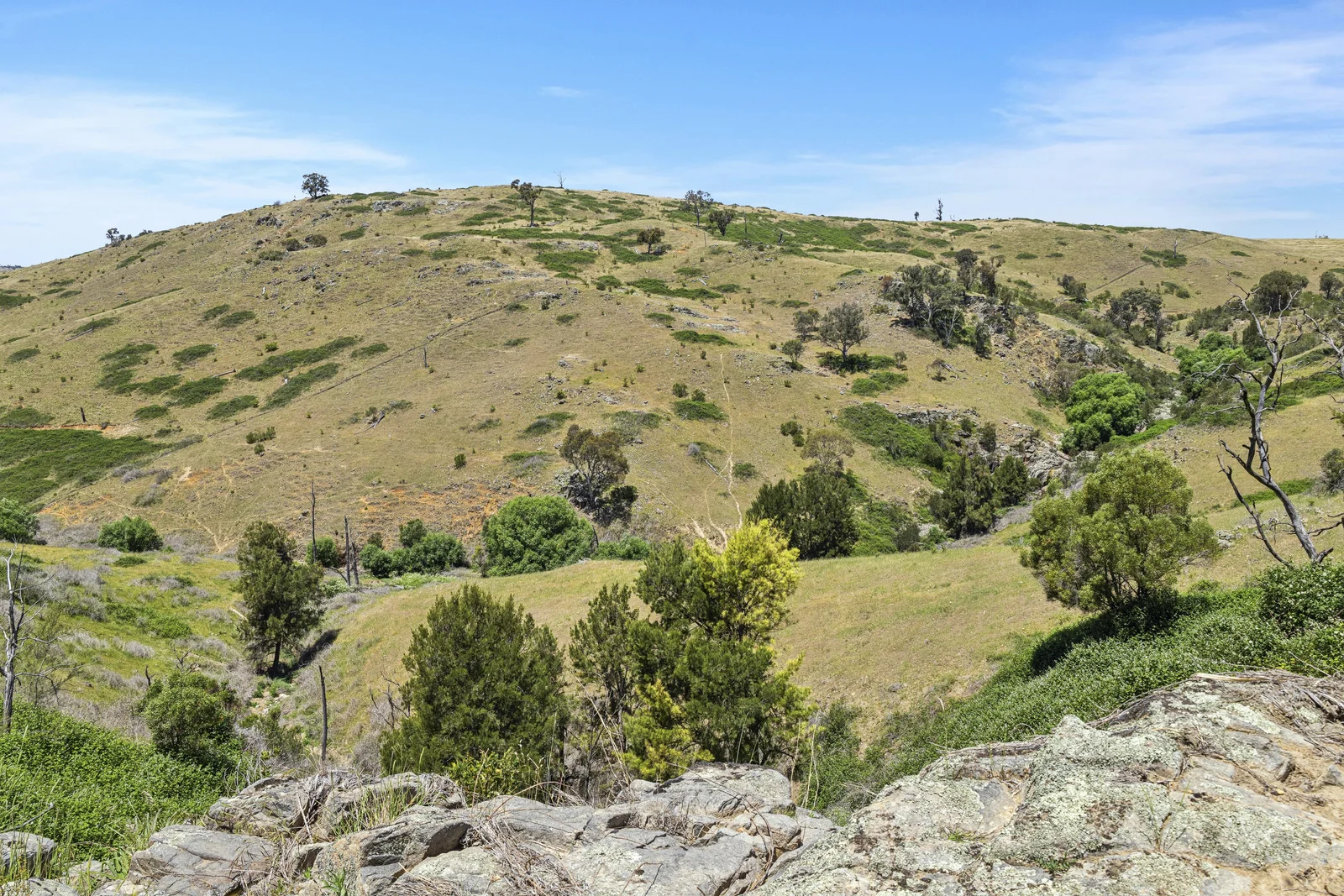 Image 13
