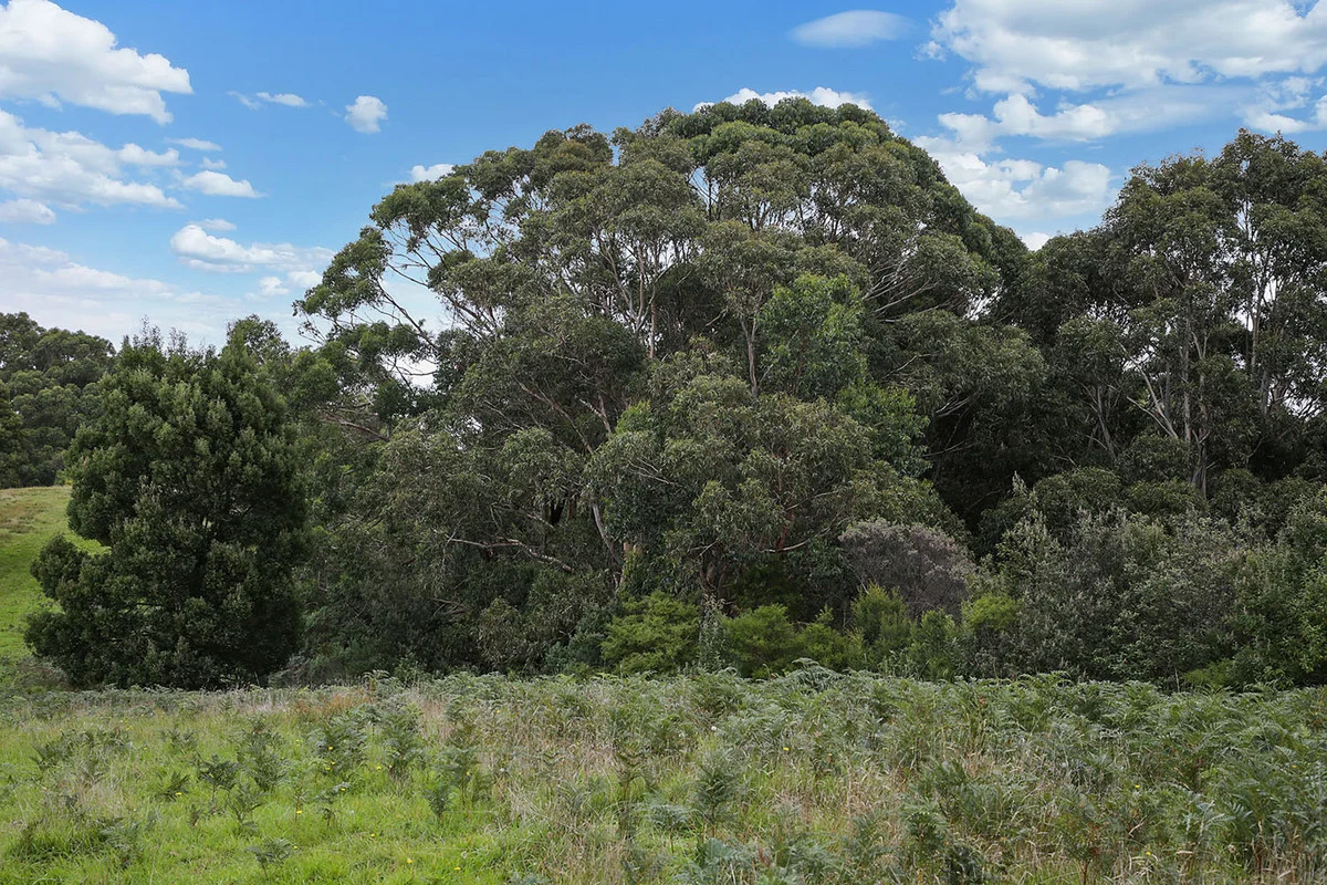 Additional image 23 of 110 Staffords Road, Johanna VIC 3238