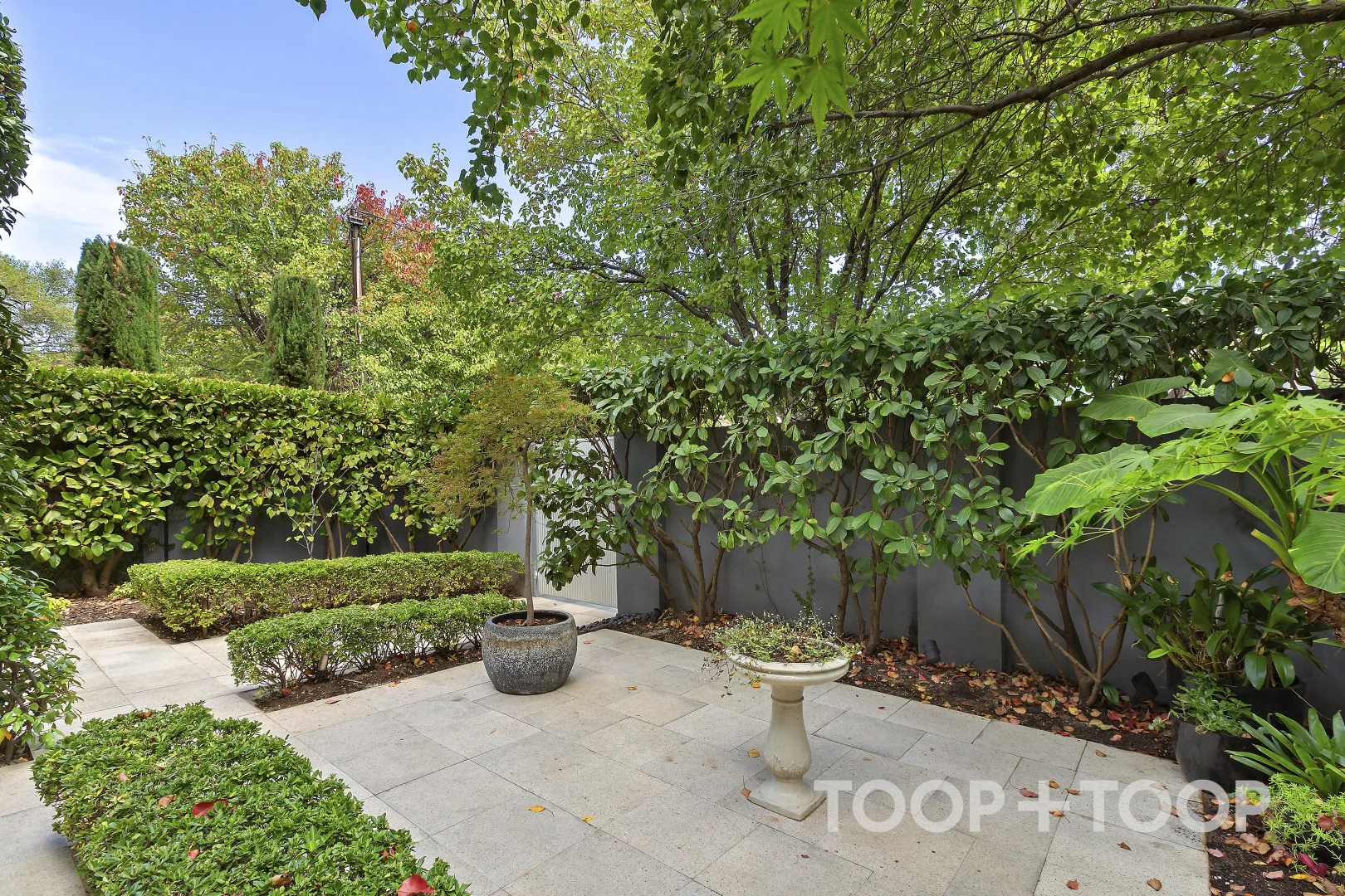 Additional image 4 of 1 Martens Avenue, Fullarton SA 5063