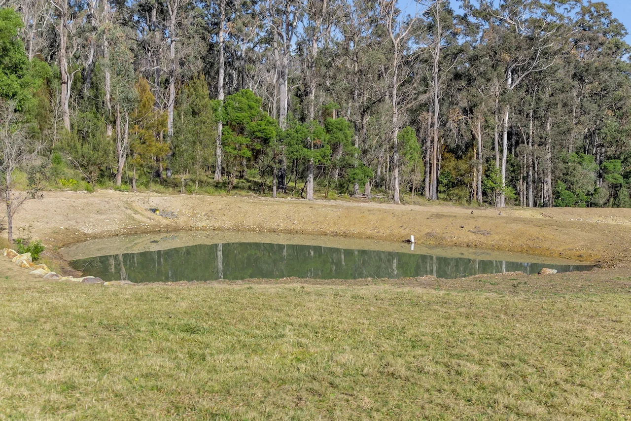 Image 10
