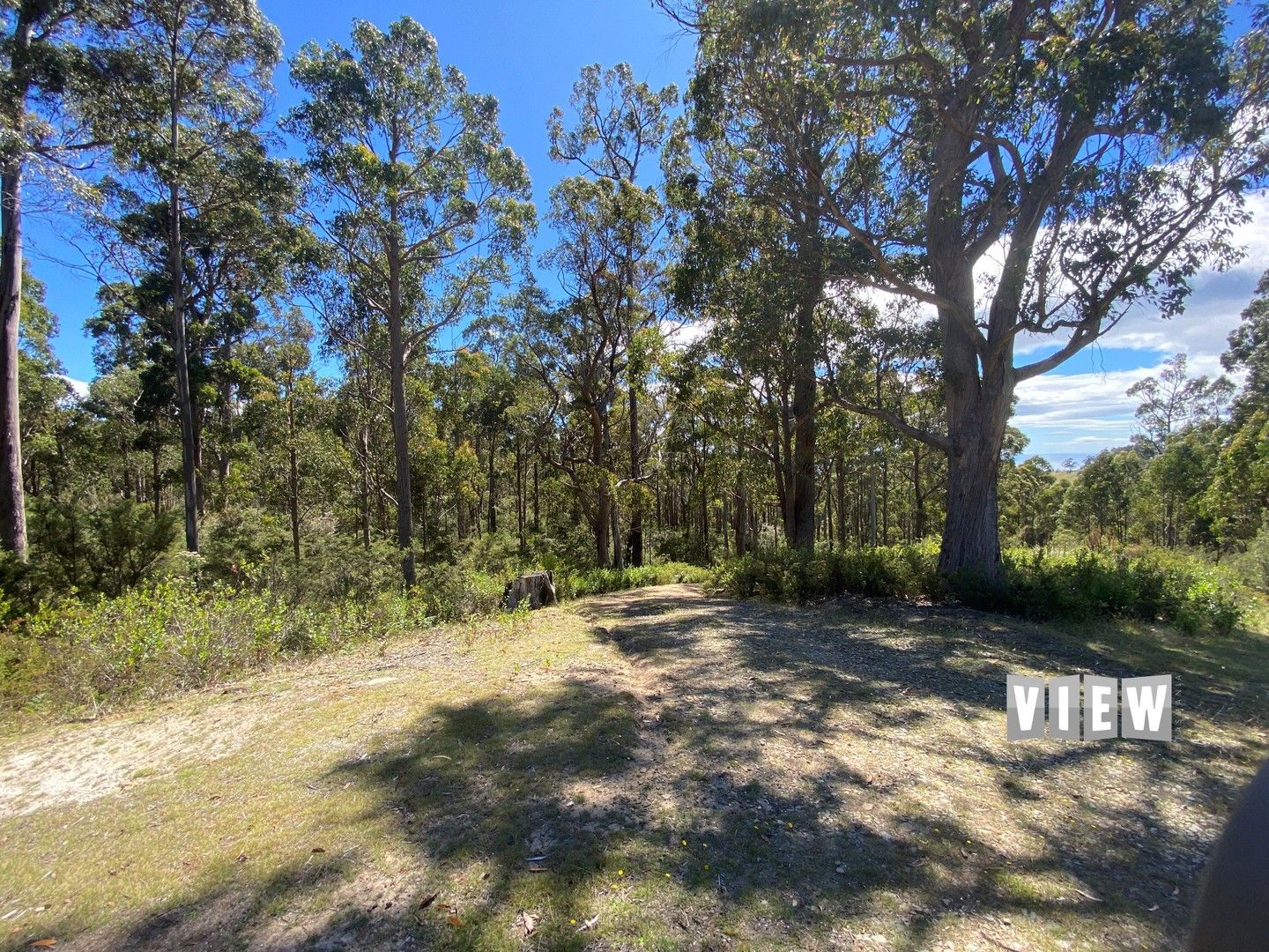 145 Semmens Road, St Marys TAS 7215, Image 2