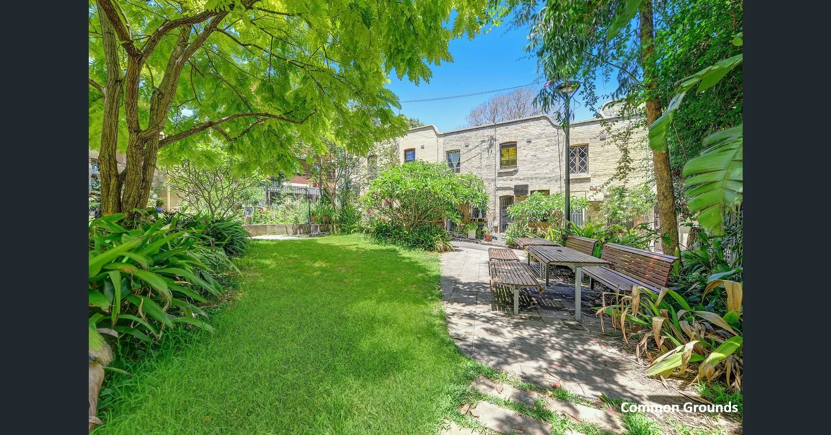 13 Rose Terrace, Paddington NSW 2021 - Terrace For Rent | Domain