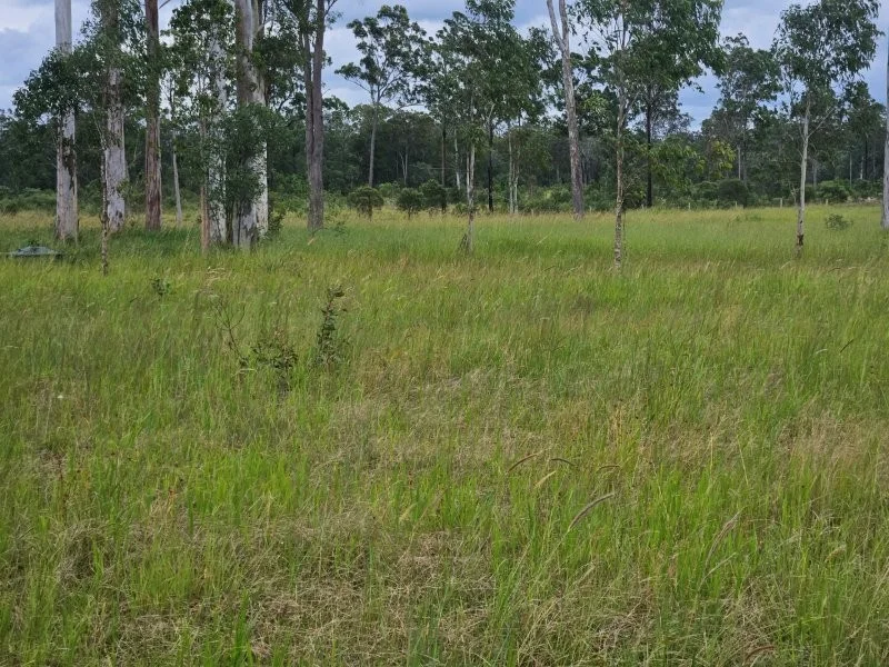 Image 19