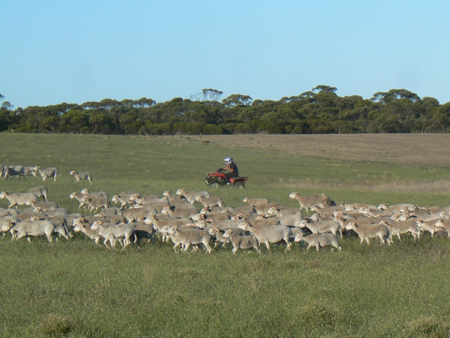 Secs 37, 33, 39, 27, 50 andamp; Allots 201 203 Hd of Kingsford, Kringin SA 5304, Image 0