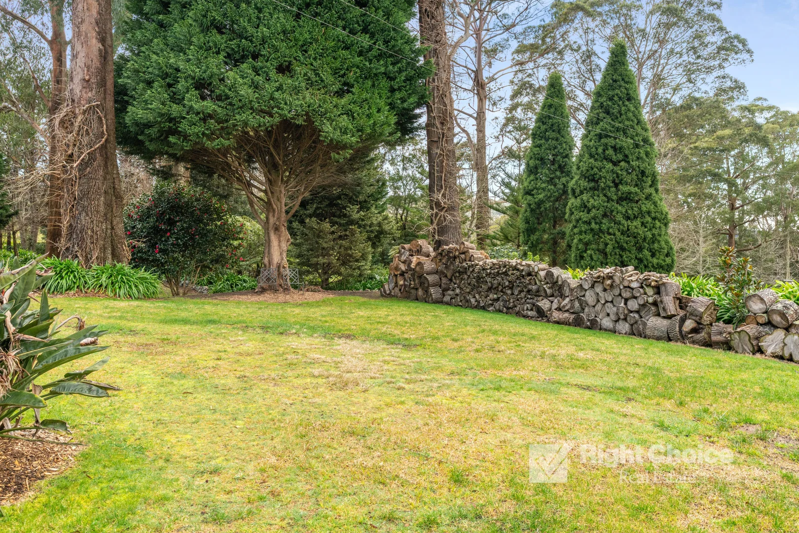Image 25