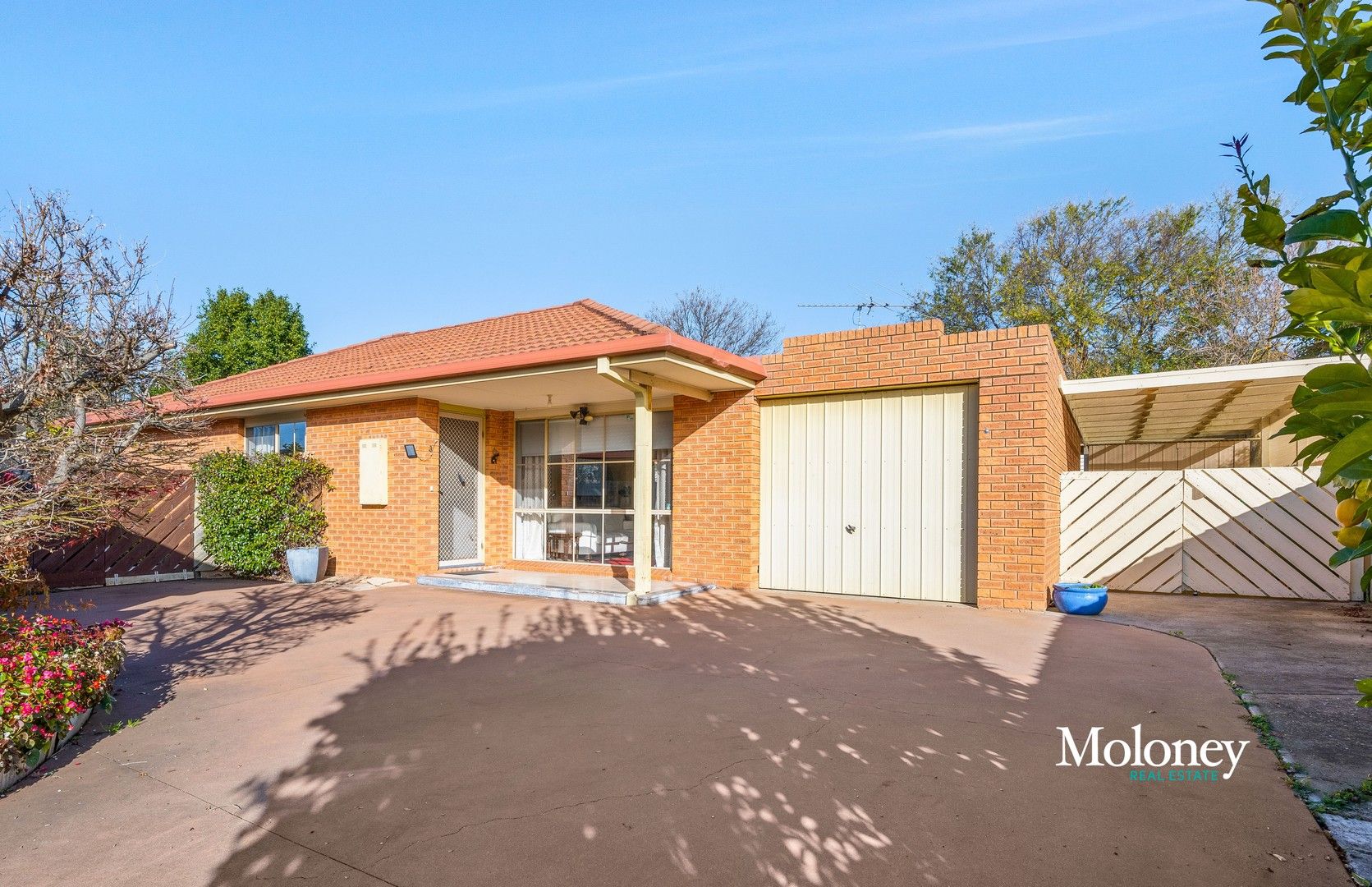 3/37 Blanche Street, Wahgunyah VIC 3687, Image 0