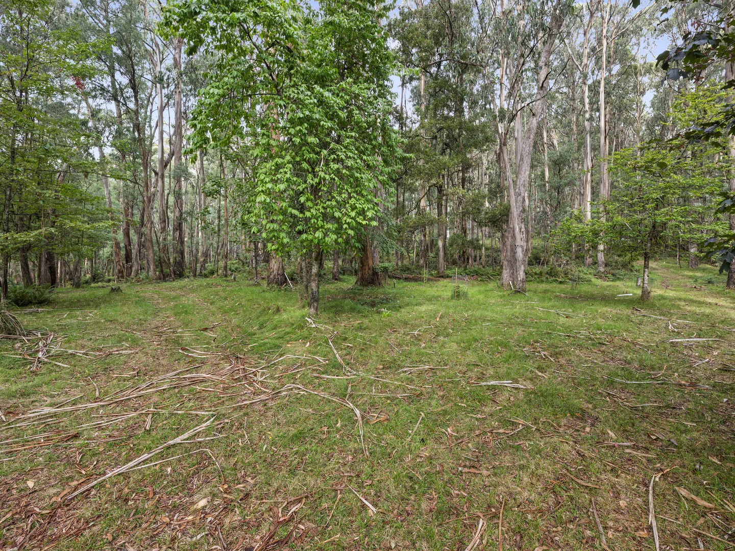 Additional image 8 of 62 Shane Lane, Tolmie VIC 3723