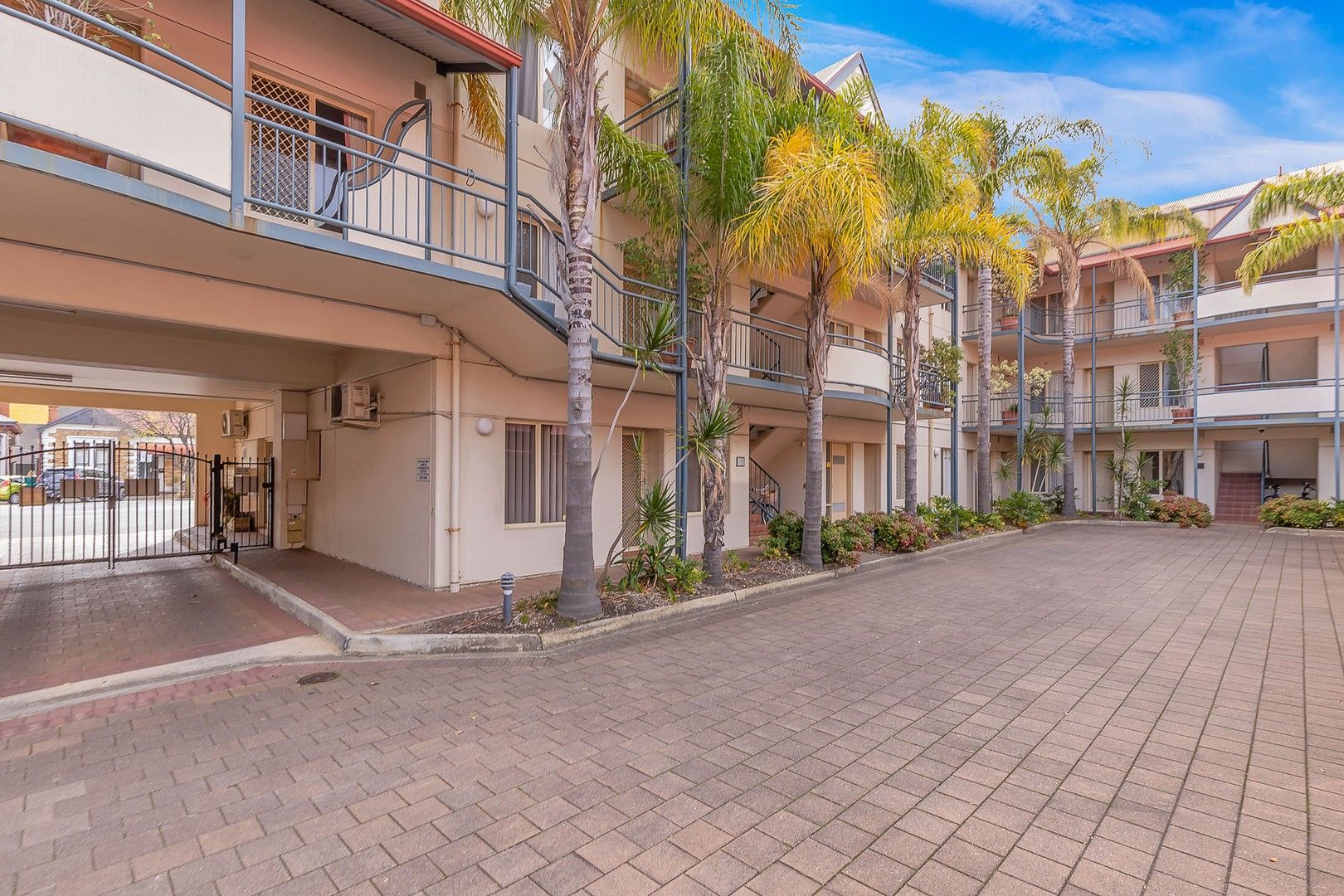 5/177 Angas Street, Adelaide SA 5000 Apartment For Rent Domain