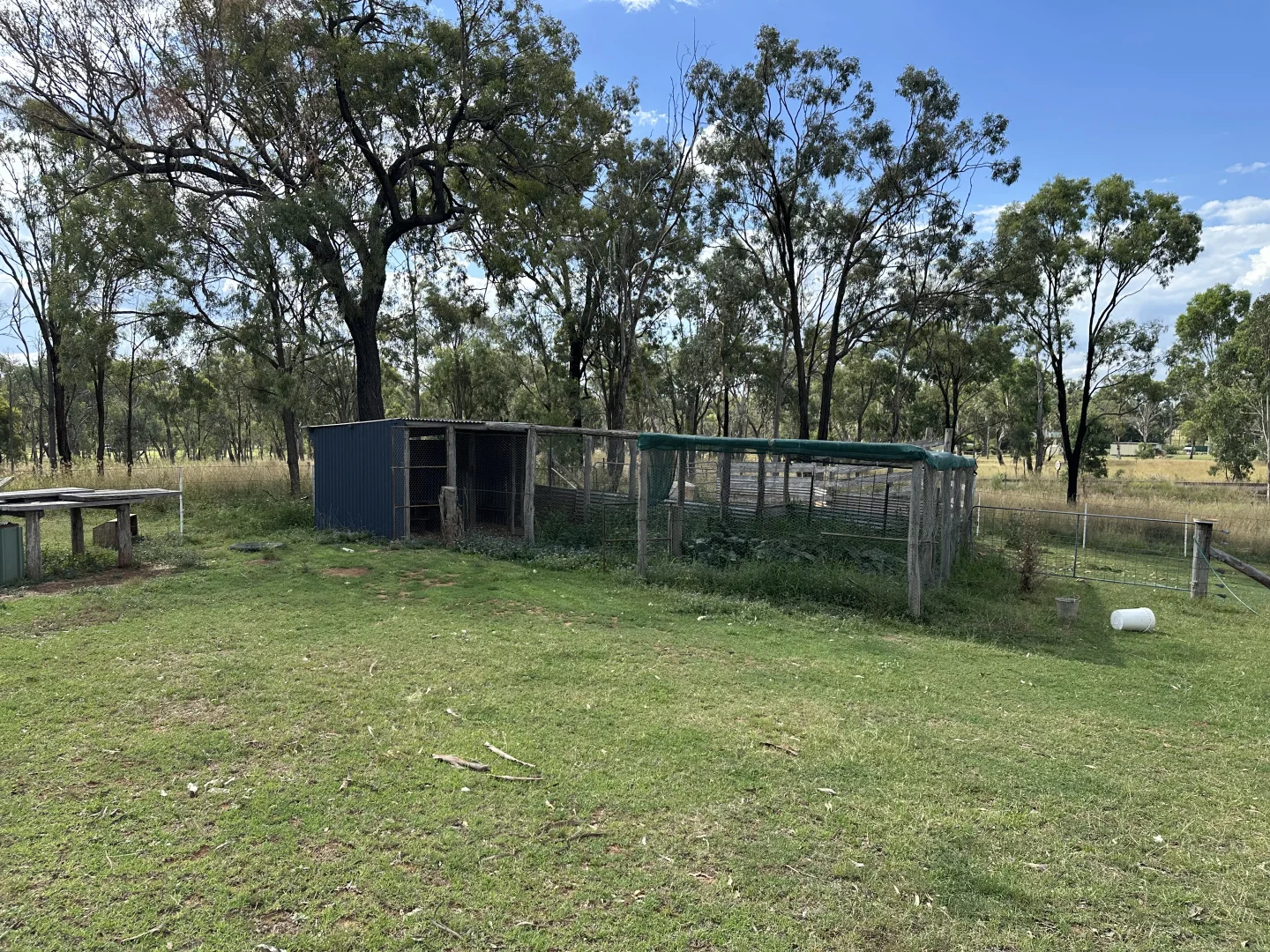 Image 13