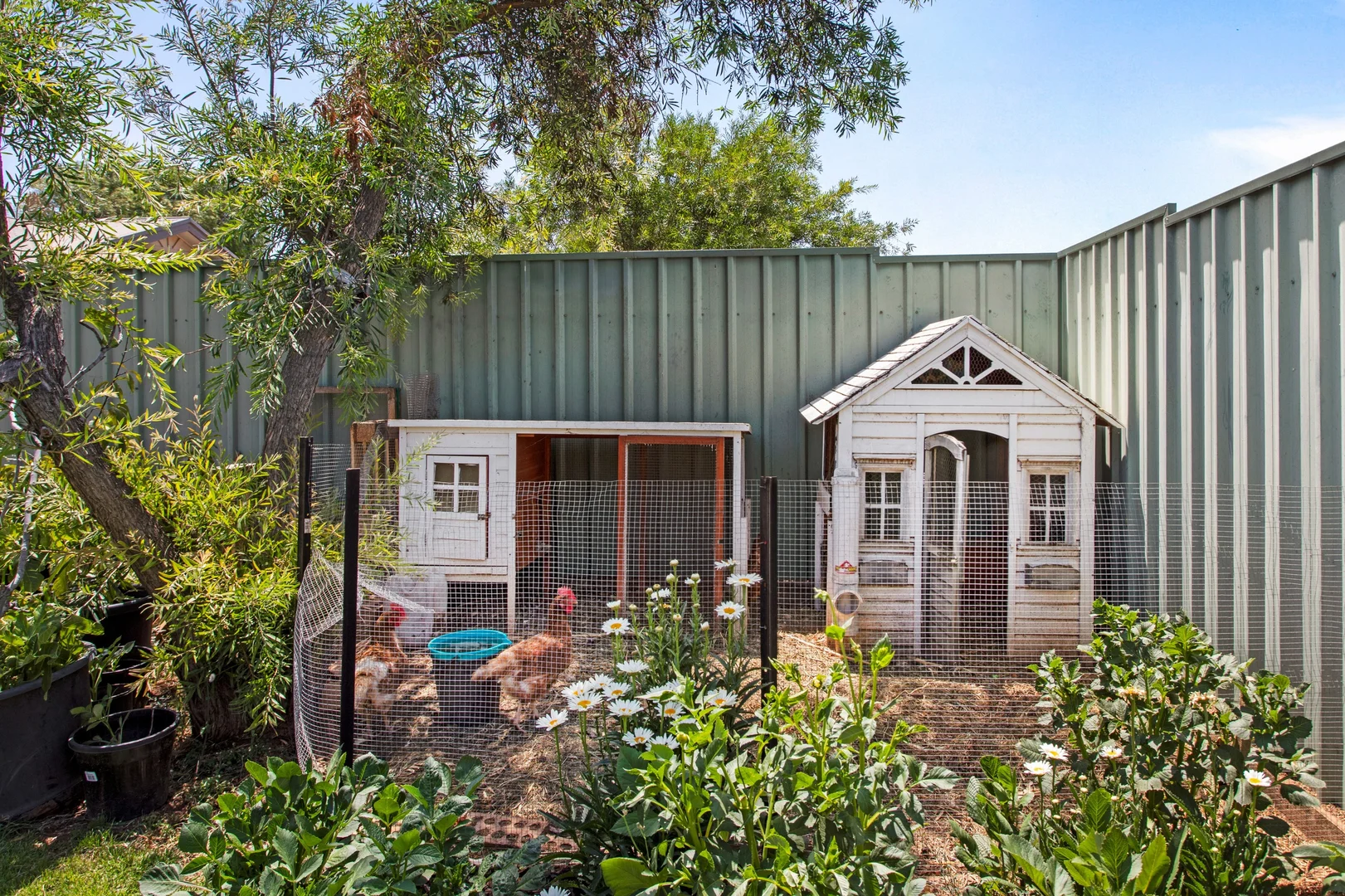 Additional image 26 of 12 Edward St, Strathalbyn SA 5255