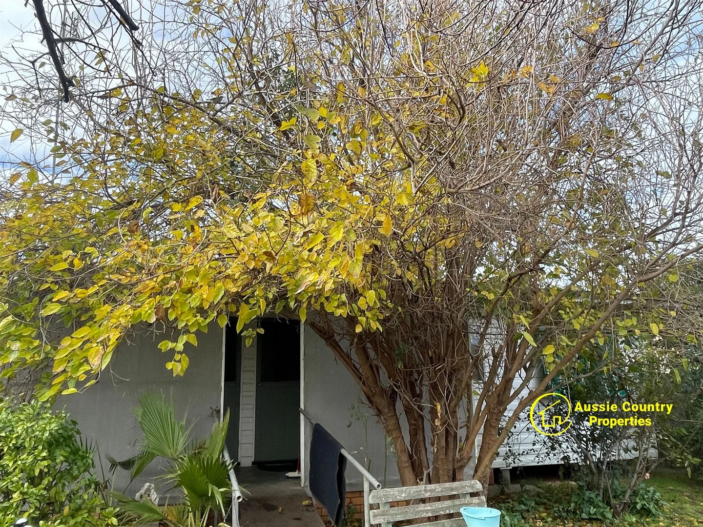Image 13